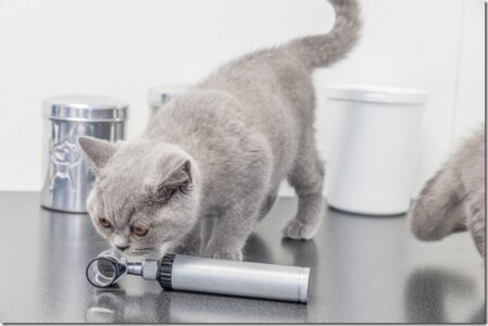 Abenteuerliche Erkundungen medizinischer Geräte Abenteuerliche Erkundungen medizinischer Geräte