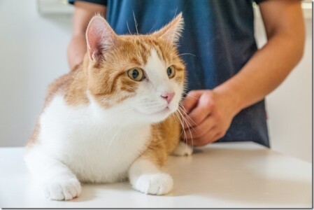 Der kleine Patient ganz ohne Angst Der kleine Patient ganz ohne Angst