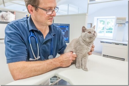 Dr. Neumaier und ein kleiner Patient Dr. Neumaier und ein kleiner Patient