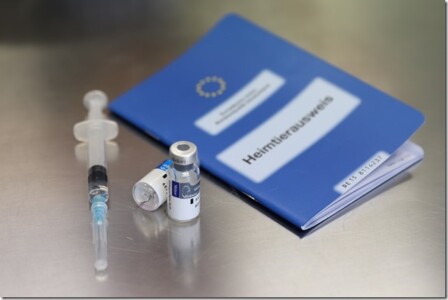 Auch Ihr Haustier muss geimpft werden Auch Ihr Haustier muss geimpft werden