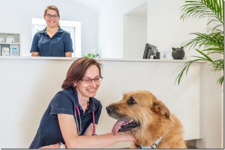 Liebevolle Pflege Ihrer Lieblinge Liebevolle Pflege Ihrer Lieblinge