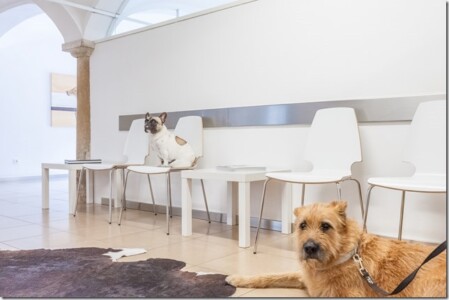 Das Wartezimmer der Kleintierpraxis Reithofen Das Wartezimmer der Kleintierpraxis Reithofen