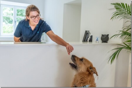 Das Leckerli für den Patienten Das Leckerli für den Patienten